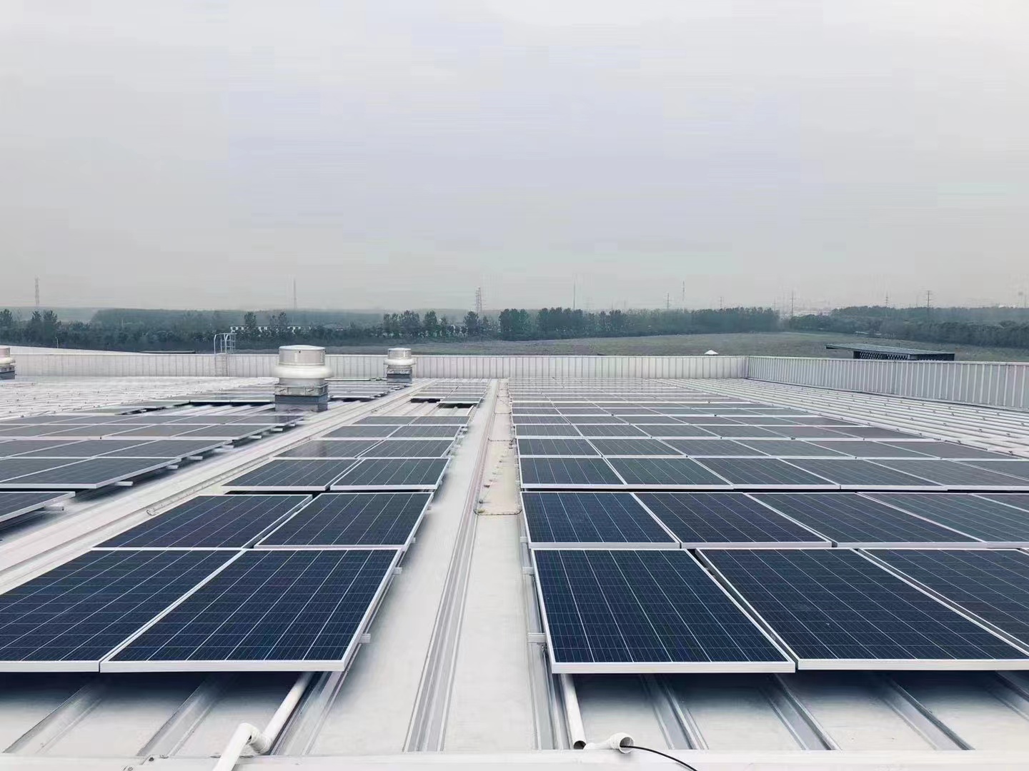 合肥農產品交易中心 12.2